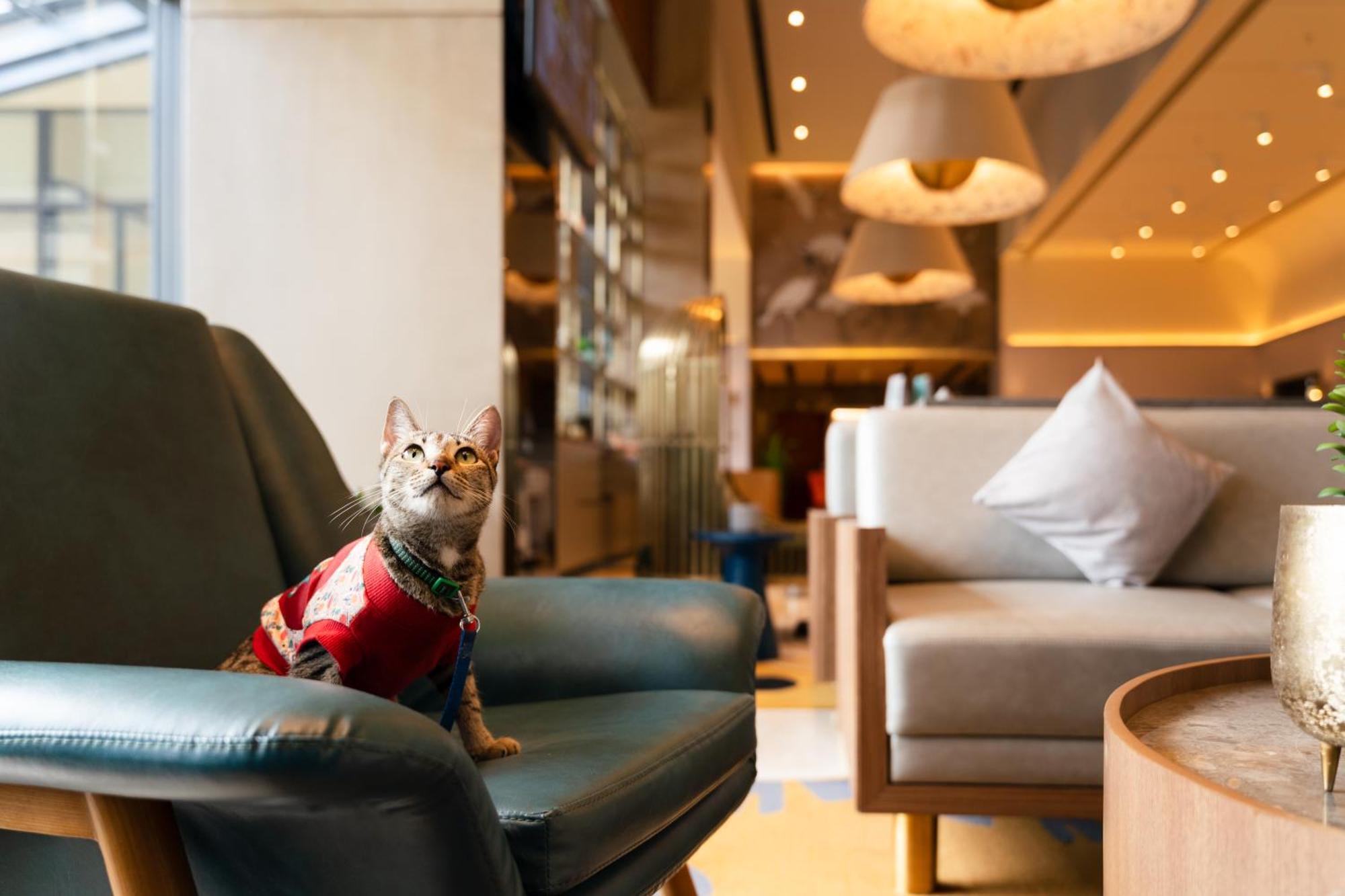 Hotel Ibis Styles Mysuru Zewnętrze zdjęcie